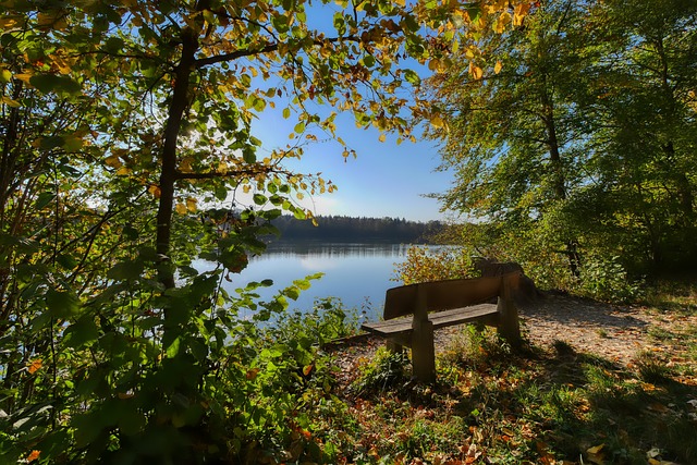布林德和菲 布林德和菲
