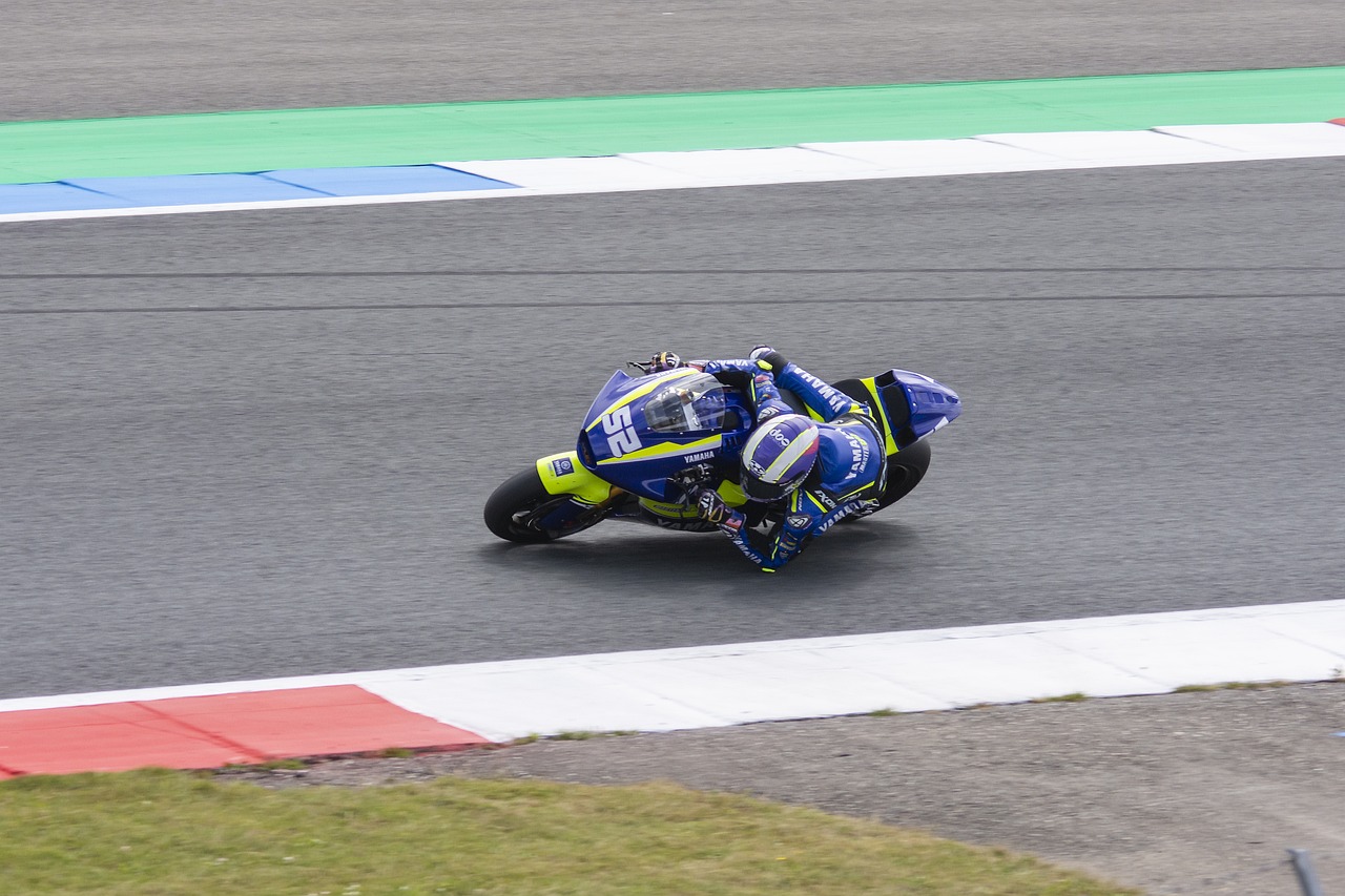 体的球员在 体的球员在