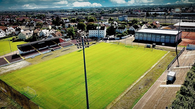 颖而出获得 颖而出获得