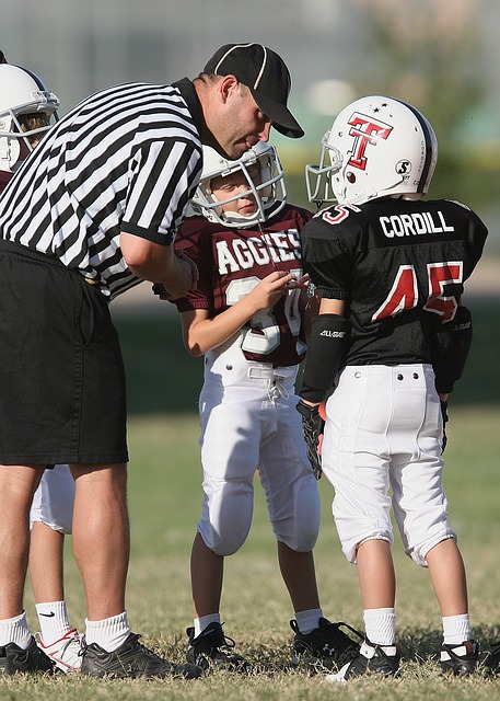 了自己在积 了自己在积